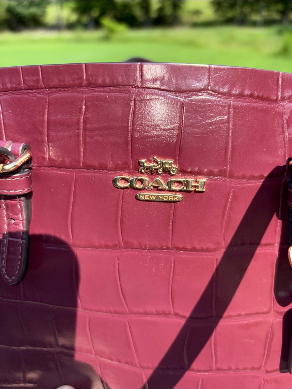 Authentic Coach Molly 25 Tote bag (measurement pictured) - Picture 5 of 13